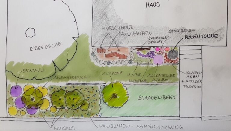 Detailplanung Nistplatz und Futterpflanzen erdbrütende Wildbienen